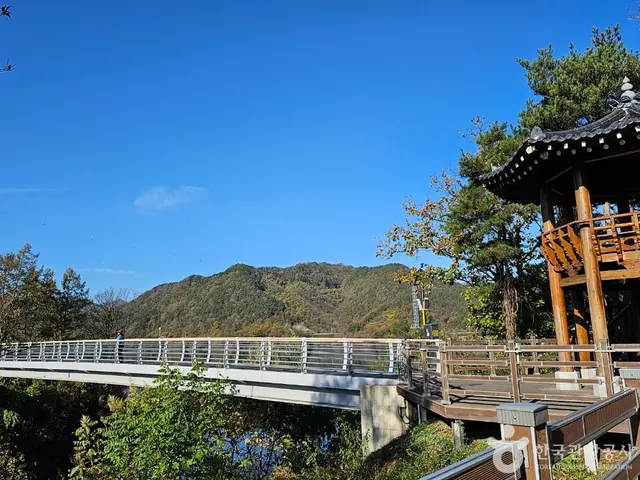 부항댐 출렁다리 사진