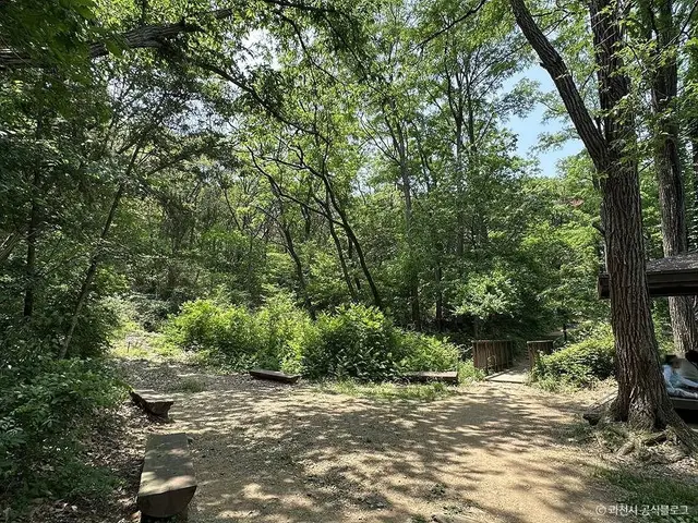 서울대공원 산림욕장 사진