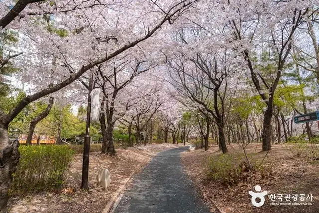 반월놀이공원 사진
