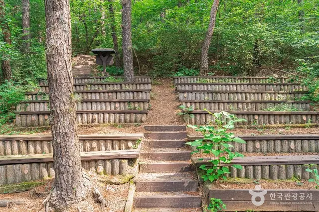 문수산산림욕장 사진