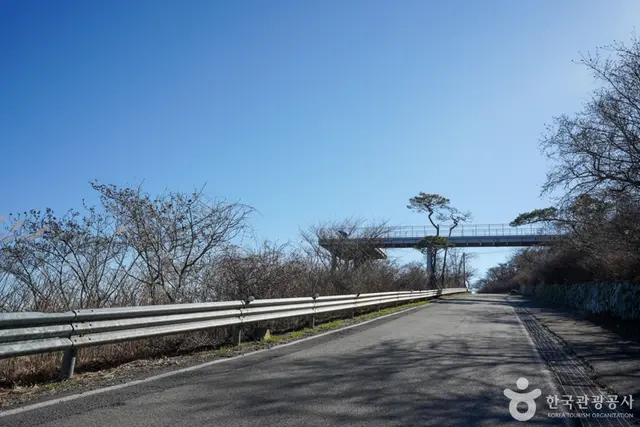 금오산전망대 사진