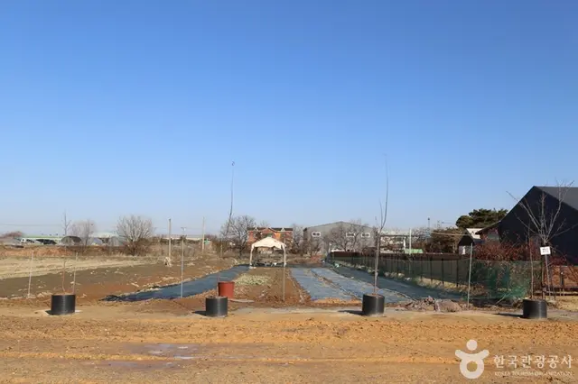 치유농장 뒤란 사진