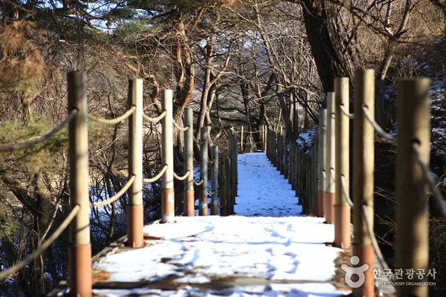 화림동계곡 사진