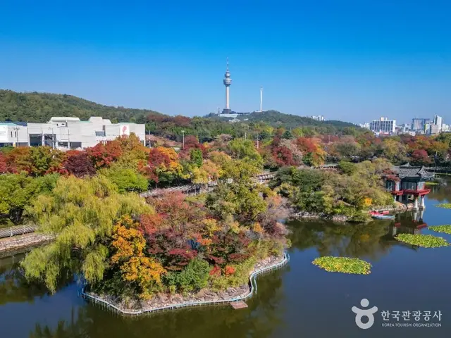 이월드 83타워 사진