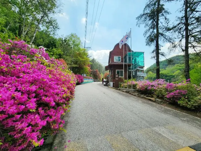국립속리산말티재자연휴양림 사진