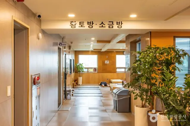 키위스파랜드 사진