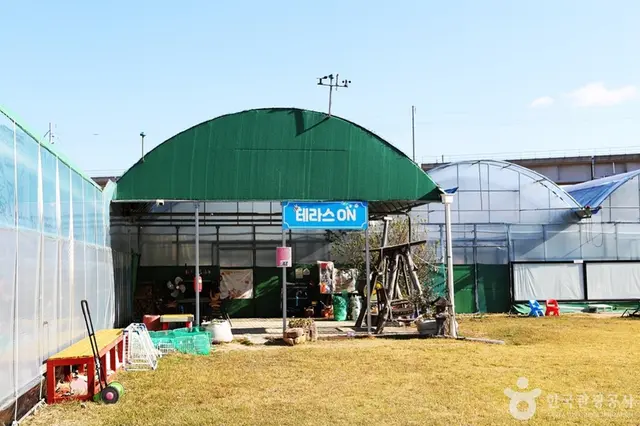 김해가야딸기테마파크 사진