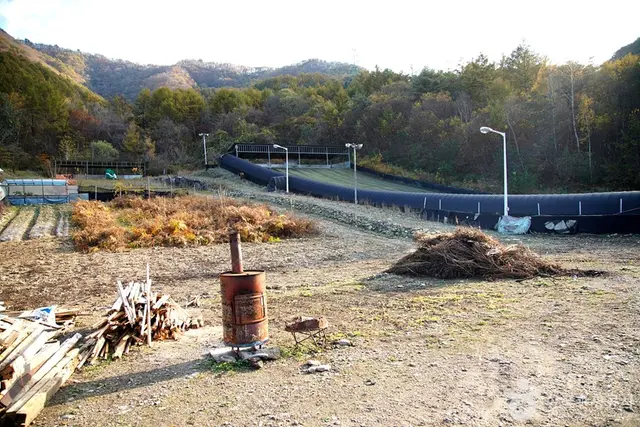 알프스벨리 사계절썰매장 사진