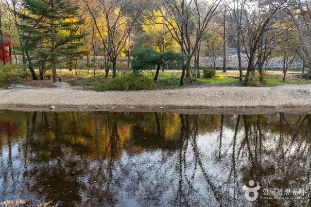 한국민속촌 사진
