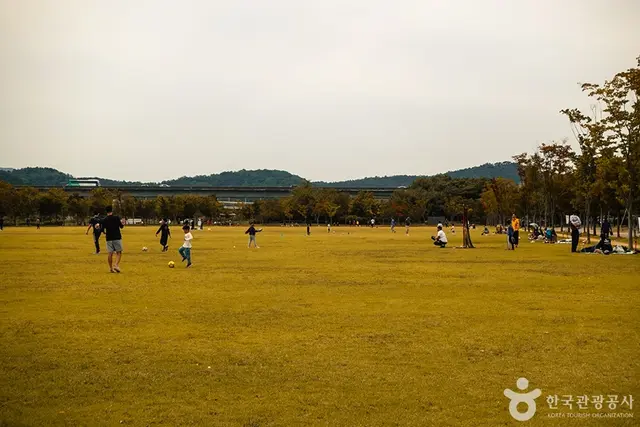 율하체육공원 사진