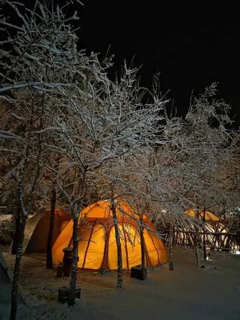 그린필로우 사진