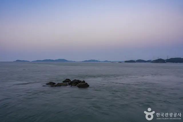 영흥도 하늘고래전망대 사진