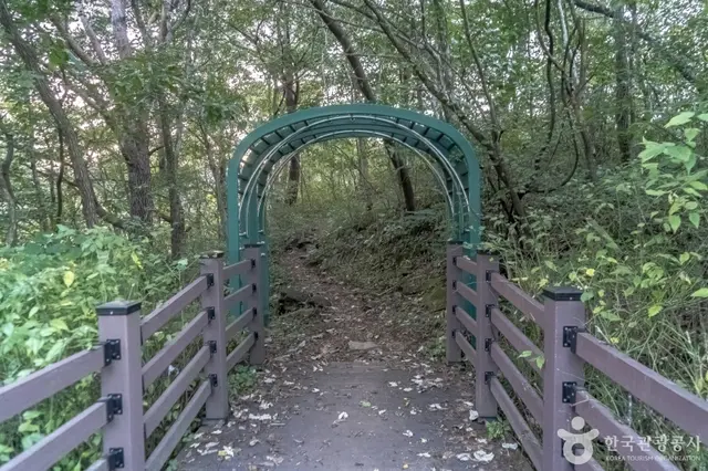 나리소전망대 사진