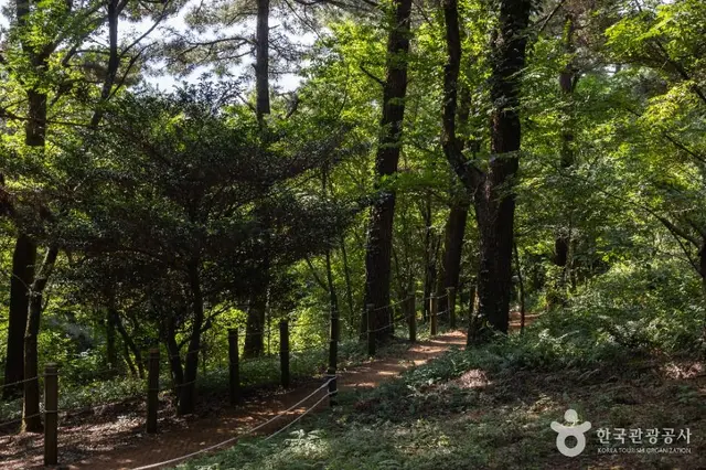 한라수목원 사진