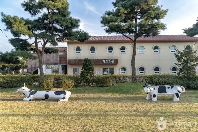 와우목장 사진