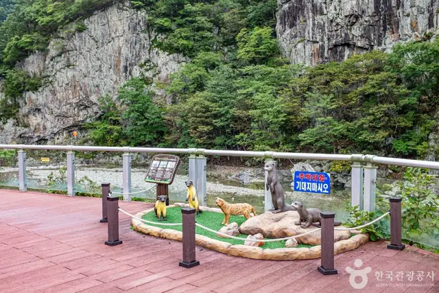 옥계계곡 사진