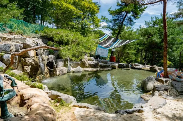 도토리숲키즈파크 사진