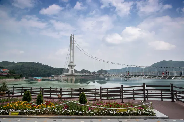 예당호 출렁다리 사진