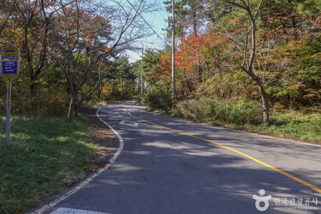 울산테마식물수목원 사진