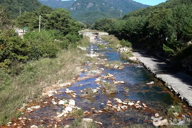 법흥계곡 사진