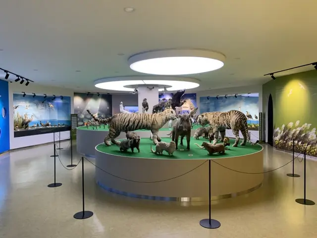 금강미래체험관 사진