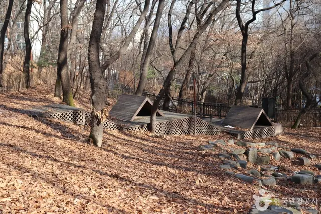 오동근린공원 유아숲체험장 사진