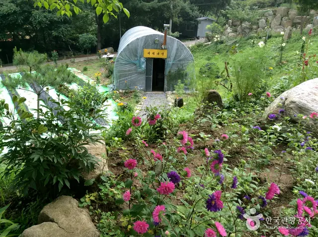물안골스머프펜션 사진
