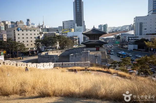 흥인지문공원 사진