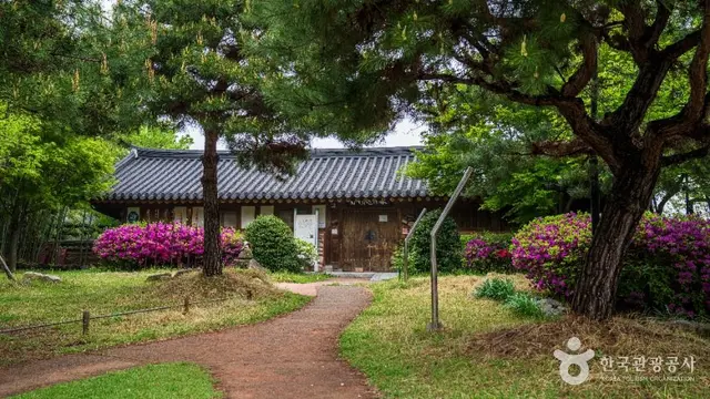 전주 한옥마을 사진