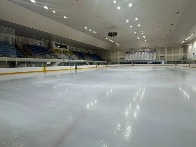 탄천종합운동장 빙상장 사진