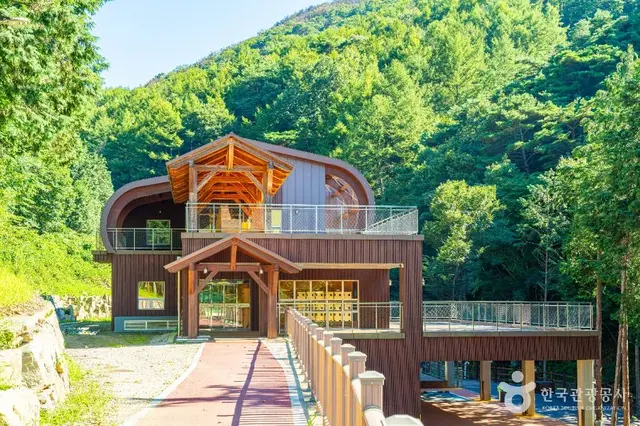 하동 편백자연휴양림 사진
