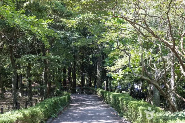 한라수목원 사진