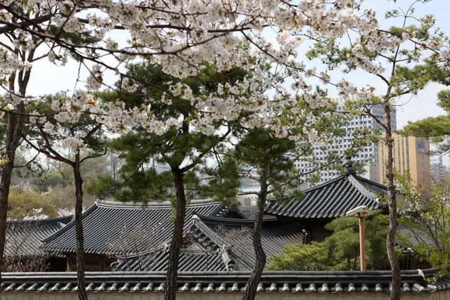 남산골한옥마을 사진