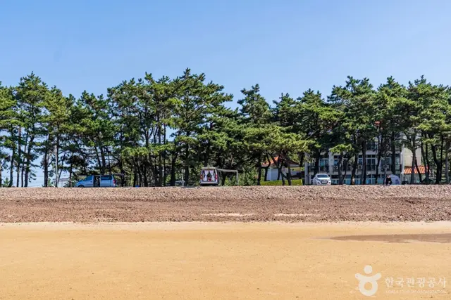 샛별해수욕장 사진