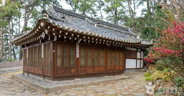 천리포수목원 사진