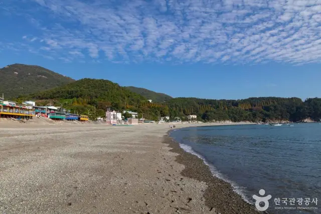 만성리검은모래해변 사진