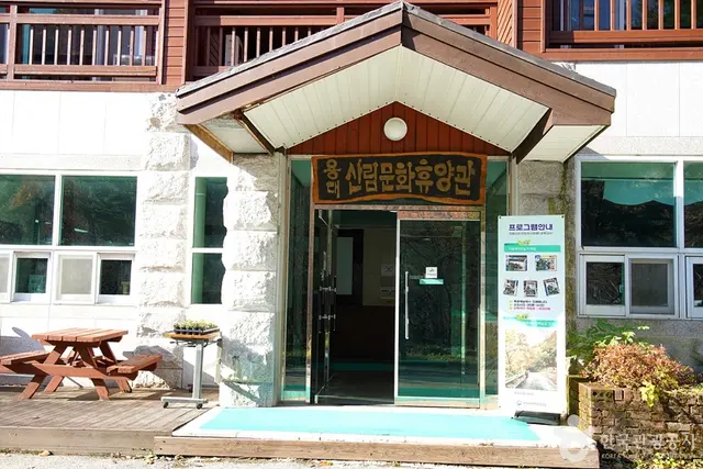 국립 용대자연휴양림 사진