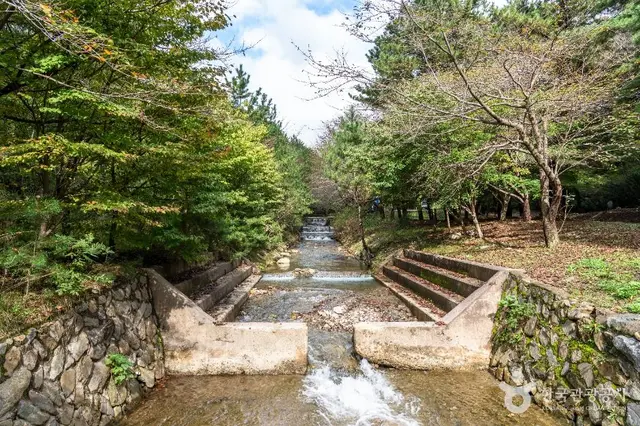 국립 희리산해송자연휴양림 사진