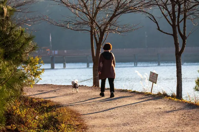 은파호수공원 사진
