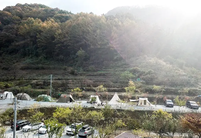 자두마을 사진