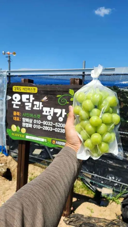 온달과평강농원 사진