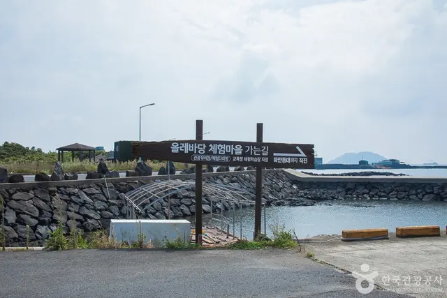 올레바당체험마을 사진