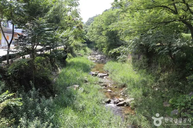 강당골 산촌체험관 사진