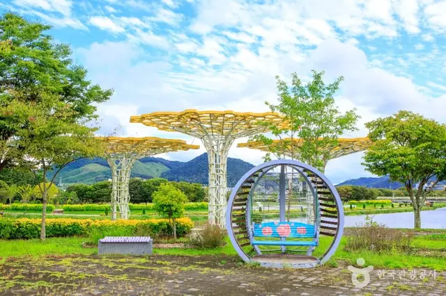 황룡강 생태공원 사진