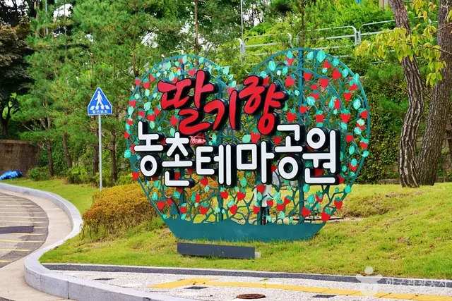 딸기향농촌테마공원 사진