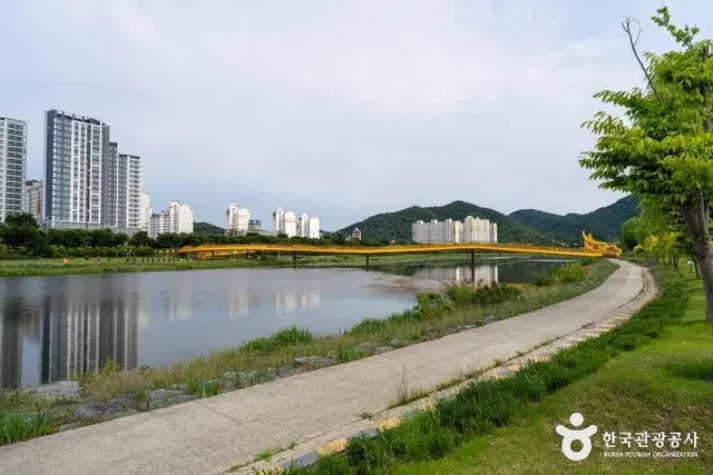 황룡강 생태공원 사진