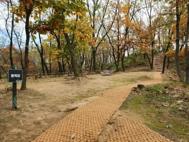 자일산림욕장 사진