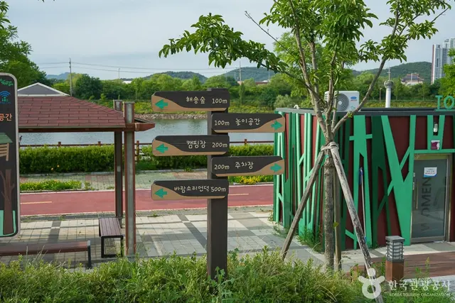 아라천환경놀이터 사진