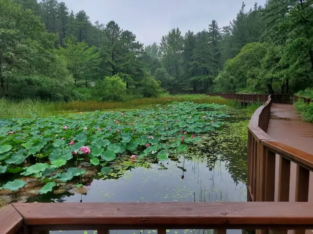 운주산승마자연휴양림 사진