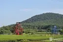 제주라프 사진